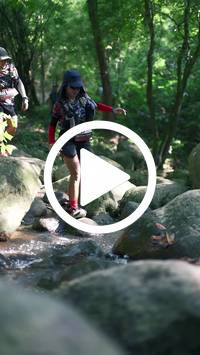 BIB:  <button type="button" onclick="openModal(28052423)" class="btn btn-primary btn-sm float-right" data-toggle="modal" data-target=".modal-high-quality">
                <i class="fa fa-download"></i> Download
                </button>